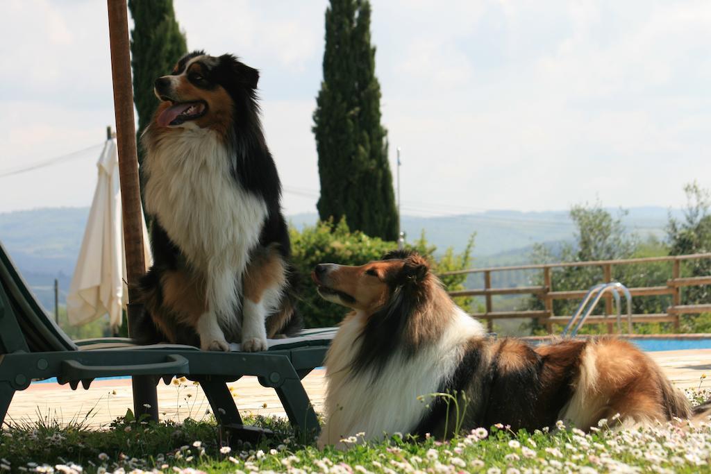 Agriturismo Il Torrione Lecchi Экстерьер фото